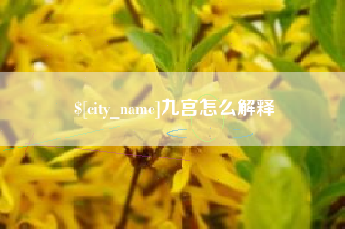 九宫怎么解释