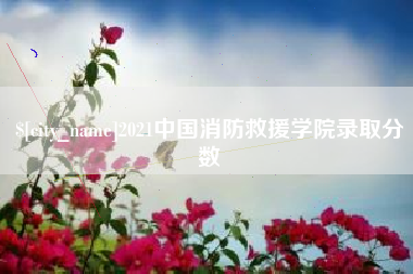 2021中国消防救援学院录取分数