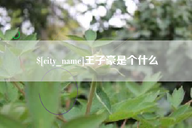 王子豪是个什么