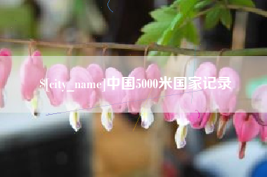 中国5000米国家记录
