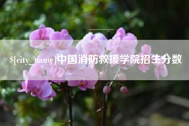 中国消防救援学院招生分数