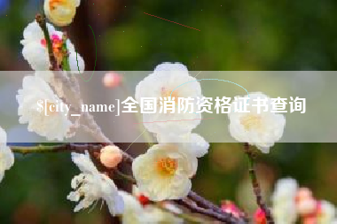 全国消防资格证书查询