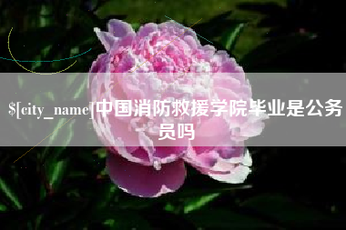 中国消防救援学院毕业是公务员吗