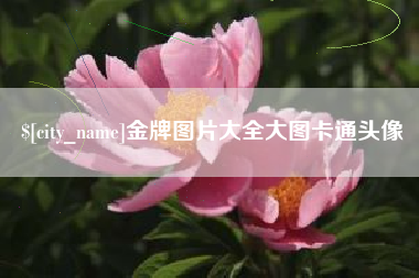 金牌图片大全大图卡通头像
