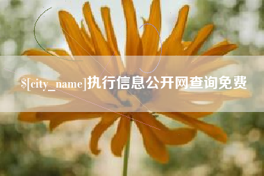 执行信息公开网查询免费